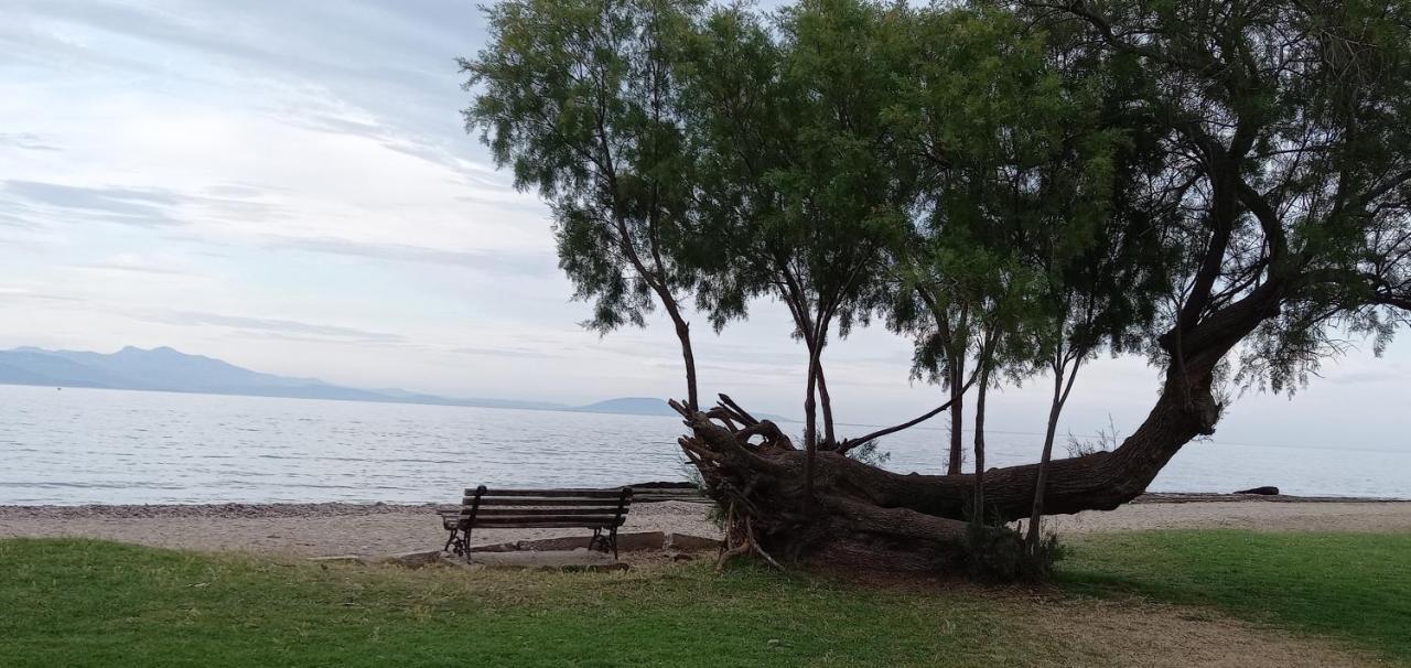 Elizas House Villa Nea Makri Bagian luar foto